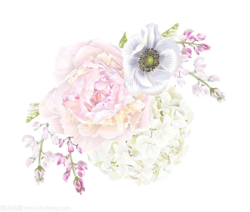 牡丹與蓮花 花卉文化中的雙重華章